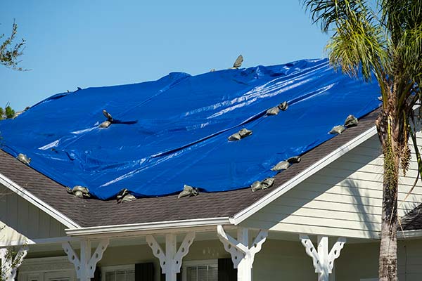 Emergency Roof Tarping Services